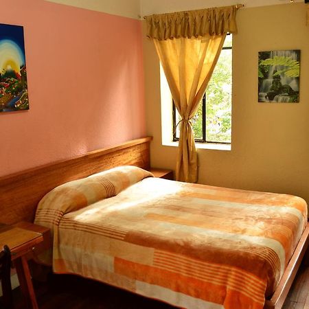 Hostal Loro Verde Quito Exteriör bild